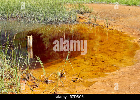 Paint Pots, Kootenay NP, Canada Foto Stock