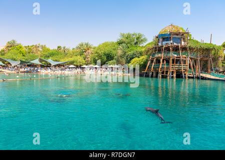 Eilat, Israele; 13 set 2020 - la barriera corallina dei delfini ospita una variopinta varietà di pesci tropicali e, soprattutto, una scuola di delfini a naso di bottiglia. Foto Stock