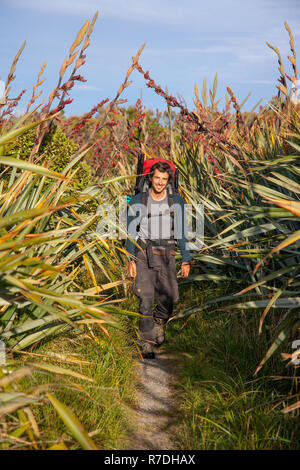Parco Nazionale di Fiordland, Nuova Zelanda Foto Stock