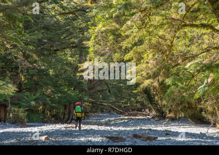 Escursioni nel Parco Nazionale di Fiordland, Nuova Zelanda Foto Stock