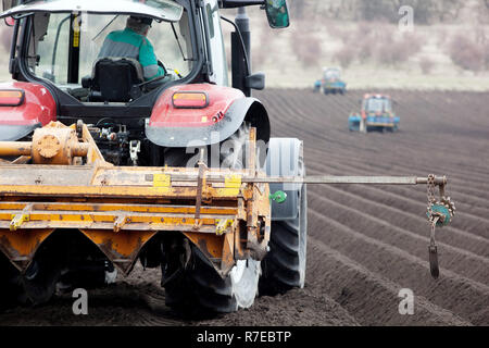 Piantando patate, la produzione di patate, righe del trattore Foto Stock