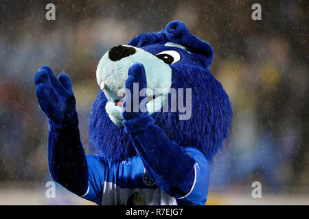 ZWOLLE, 08-12-2018, MAC3Park Stadium, stagione 2018 / 2019, olandese Eredivisie, Zwolfje mascotte di PEC Zwolle durante il match PEC Zwolle - Ajax 1-4. Foto Stock