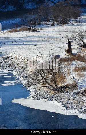 Arxan. Il 9 dicembre, 2018. Foto scattata il 9 dicembre 2018 mostra il fiume Halha in Arxan, nel nord della Cina di Mongolia Interna Regione Autonoma. Nonostante il freddo intenso in inverno, una sezione del fiume Halha in Arxan non è mai congelato a causa delle fonti geotermiche nelle vicinanze. Credito: Zou Yu/Xinhua/Alamy Live News Foto Stock