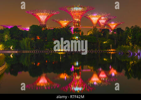 Supertrees, giardini dalla baia riflettendo in acqua durante la notte, Singapore Foto Stock