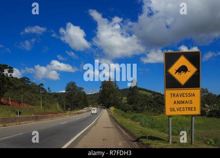 Animali selvatici attraversando segno su una strada brasiliano a giornata di sole Foto Stock