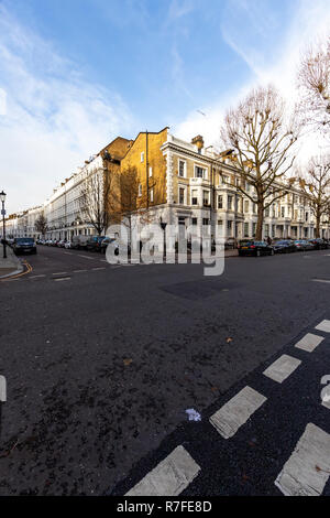 London piano alberi lungo le strade sulla Marloes Rd, Kensington, Londra. W8 6LG Foto Stock