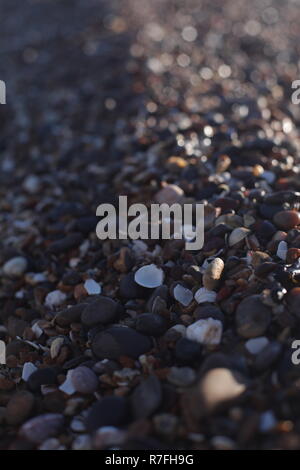 Lato mare Pattern In Sheerness / Kent , Dicembre Pietre e conchiglie Beach Foto Stock