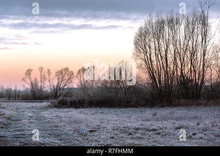 La brina, il primo gelo, un paesaggio fatto di sunrise in Polonia nord-orientale Foto Stock