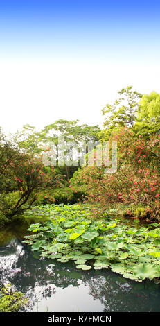 Stagno e lotuses in umile Administrator's Garden a Suzhou, Cina. Giorno di estate Foto Stock