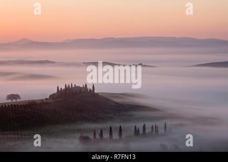 Vista sul belvedere all'alba, San Quirico d'Orcia, Val d'Orcia, Toscana, Italia Foto Stock