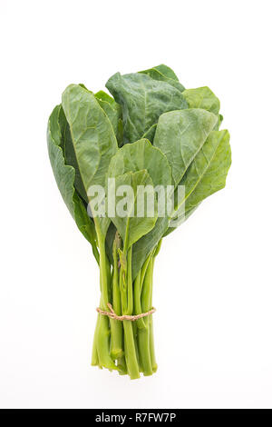 Broccoli cinesi verdure isolati su sfondo bianco Foto Stock