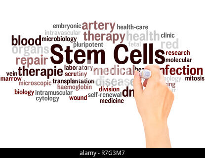 Le cellule staminali cloud di parola la scrittura a mano concetto su sfondo bianco. Foto Stock