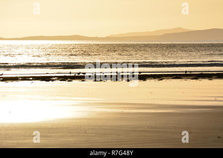 Sunset Over Blackrock Sands Foto Stock