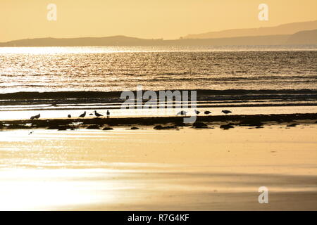 Sunset Over Blackrock Sands Foto Stock