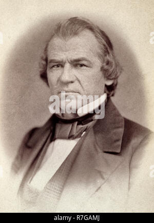 Andrew Johnson, il Senatore dal Tennessee, trenta-quinto Congresso, mezza lunghezza verticale, circa 1859 Foto Stock