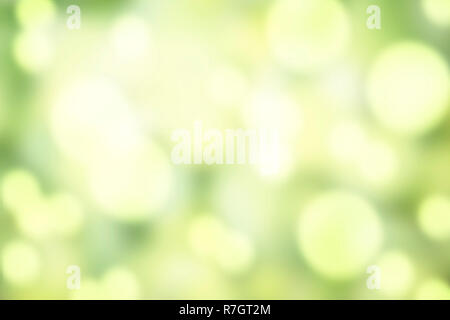 Abstract delicato verde sfondo sfocato con effetto bokeh, romantica atmosfera a molla Foto Stock