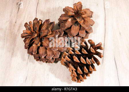 Tre essiccato mature aperto coni di cedro con semi rimosso giacente sulla luce pannello di legno Foto Stock