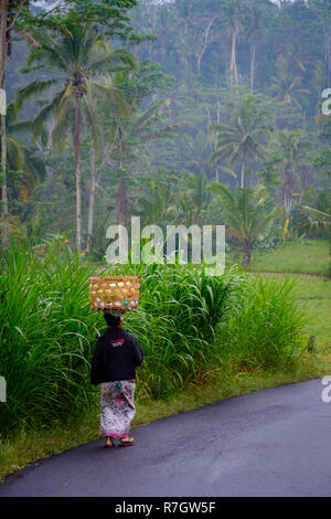 Signora a piedi dal mercato in campagna nei pressi di Ubud, Bali, Indonesia Foto Stock