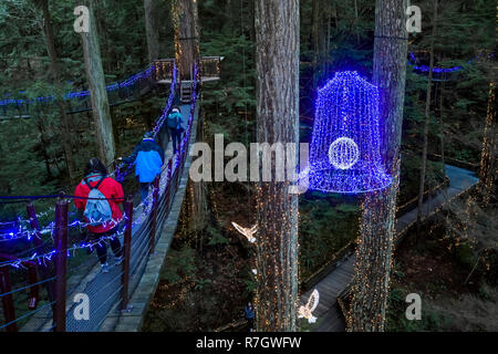 Treetops avventura Canyon e luci, del Ponte Sospeso di Capilano Park, North Vancouver, British Columbia, Canada Foto Stock