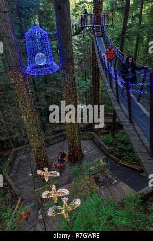 Treetops avventura Canyon e luci, del Ponte Sospeso di Capilano Park, North Vancouver, British Columbia, Canada Foto Stock