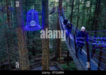 Treetops avventura Canyon e luci, del Ponte Sospeso di Capilano Park, North Vancouver, British Columbia, Canada Foto Stock