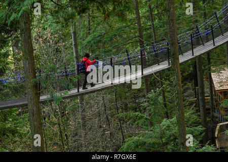 Treetops avventura Canyon e luci, del Ponte Sospeso di Capilano Park, North Vancouver, British Columbia, Canada Foto Stock