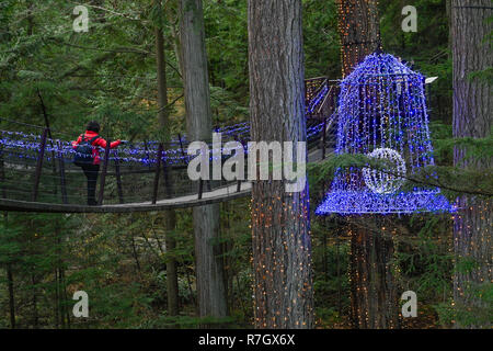 Treetops avventura Canyon e luci, del Ponte Sospeso di Capilano Park, North Vancouver, British Columbia, Canada Foto Stock