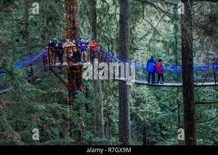 Treetops avventura Canyon e luci, del Ponte Sospeso di Capilano Park, North Vancouver, British Columbia, Canada Foto Stock