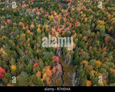 Parco Nazionale di Acadia Foto Stock