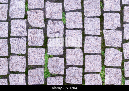 Stone marciapiede marciapiede con erba nel parco. background e texture. Foto Stock