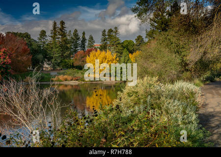 Colorato UC Davis arboretum in autunno overseing un lago su un poco nuvoloso giorno Foto Stock