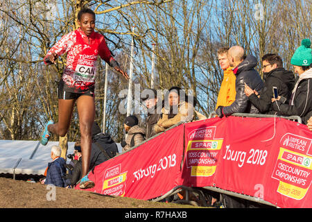 TILBURG, 09-12-2018, Beekse Bergen Hilvarenbeek, Yasemin può durante il European Cross Country Championships Foto Stock