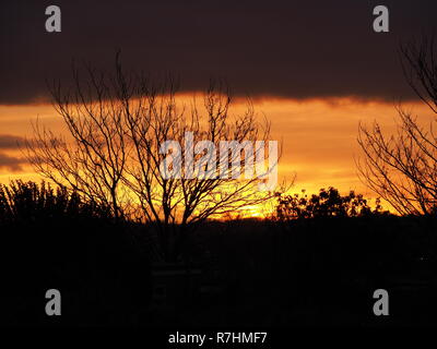 Sheerness, Kent, Regno Unito. 10 dicembre, 2018. Regno Unito Meteo: un golden sunrise questa mattina a Sheerness, Kent. Credito: James Bell/Alamy Live News Foto Stock