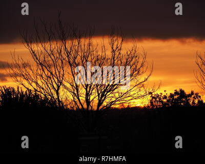 Sheerness, Kent, Regno Unito. 10 dicembre, 2018. Regno Unito Meteo: un golden sunrise questa mattina a Sheerness, Kent. Credito: James Bell/Alamy Live News Foto Stock