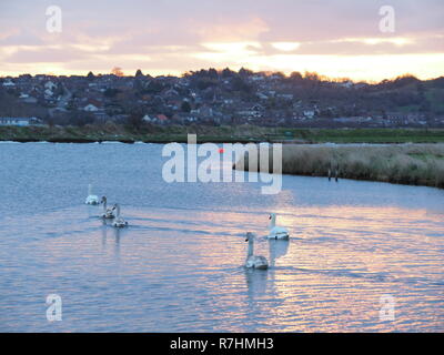 Sheerness, Kent, Regno Unito. 10 dicembre, 2018. Regno Unito Meteo: un golden sunrise questa mattina a Sheerness, Kent. Credito: James Bell/Alamy Live News Foto Stock