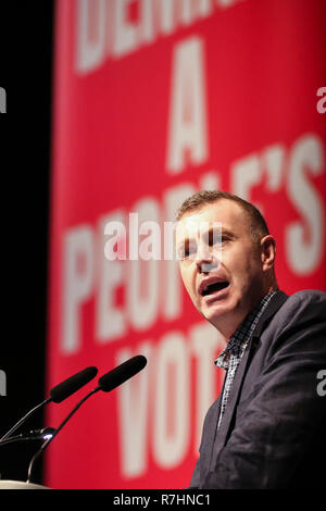 Prezzo Adam, leader di Plaid Cymru è visto che parla al rally. Centinaia di persone che frequentano le migliori per la Gran Bretagna e il voto popolare campagna di rally nel centro ExCel nella zona est di Londra alla vigilia della settimana in cui il Parlamento voterà sul Primo Ministro Theresa Maggio Brexit del ritiro della trattativa. Foto Stock