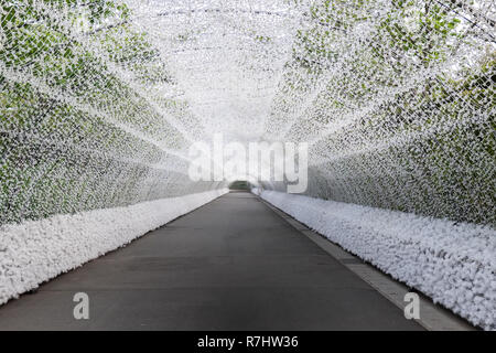 Tunnel di luce a Nabana no sato illuminazione d'inverno. Nabana non è sato un famoso giardino fiorito individuare nei pressi della città di Nagoya in Giappone Foto Stock