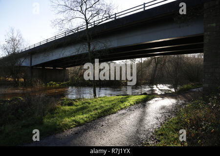 Il ponte che porta il Bewdley bypass (A456) oltre il fiume Severn a Blackstone, Worcestershire, Inghilterra, Regno Unito. Foto Stock