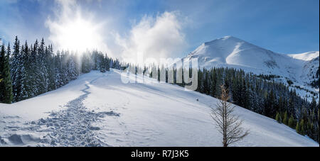 Incantevole paesaggio invernale delle montagne dei Carpazi. Petros picco coperto di neve. Foto Stock