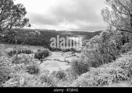 Visualizzazione bianco e nero di alberi ascendere fino al lato della caldera Alferes in Sao Miguel. Foto Stock