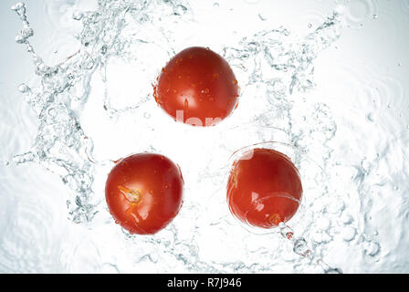 Pomodori di spruzzi di acqua su sfondo bianco Foto Stock