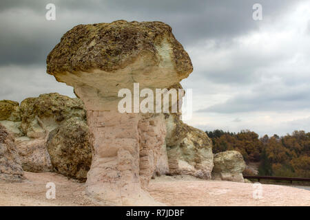 Parte del fenomeno naturale di funghi di pietra. Foto Stock