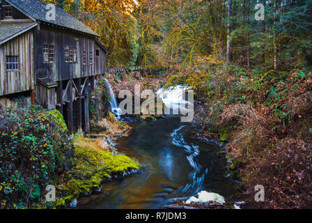 Cabina nella foresta accanto a un fiume Foto Stock