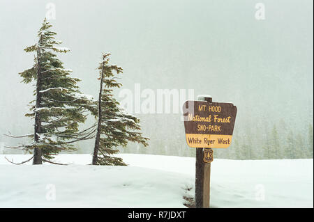 Governo Camp, Oregon, Stati Uniti d'America - 18 Febbraio 2016: fine caduta di neve cade a Mt. Hood National Forest Sno-Park a White River West, un cartello in prossimità di due Foto Stock