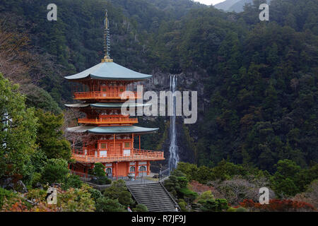 Nachisan Seiganto-ji pagoda a Kumano Nachi Santuario con la Nachi cade in background, Wakayama, Giappone, Asia Foto Stock