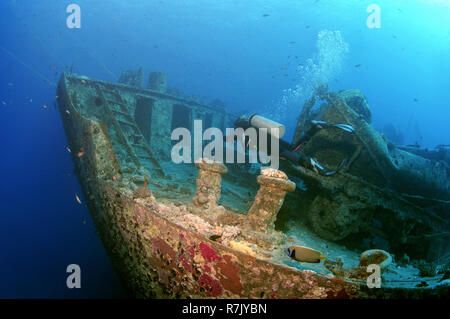 Scuba Diver guardando naufragio 'SS Thistlegorm', Mar Rosso, Egitto Foto Stock