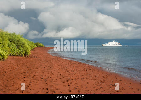 Red spiaggia sabbiosa, Rábida Island, Galapagos, Sito Patrimonio Mondiale dell'Unesco, Ecuador Foto Stock
