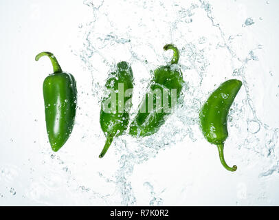 Congelare il movimento di peperoncini jalapeno con spruzzi di acqua Foto Stock