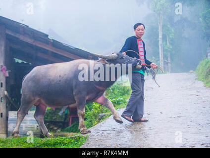 L uomo dalla Red Dao in minoranza in un villaggio vicino a Ha Giang in Vietnam Foto Stock