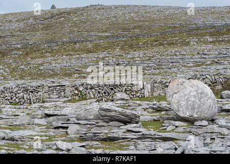 Repubblica di Irlanda, County Clare, Burren, testa nera Foto Stock